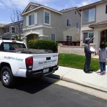 Cats Pest Control - Pest Control Near Me - San Dimas, California Cats Pest Control - Pest Control Near Me - San Dimas, California