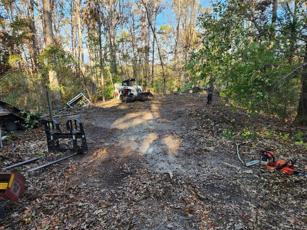 Carter Tree Service - veterans service organization in Belton, SC