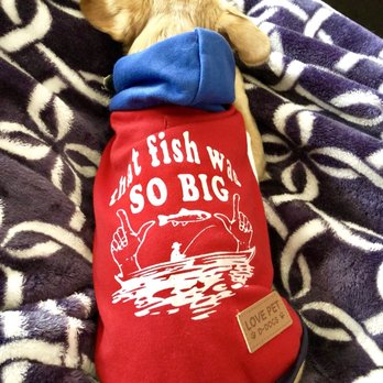 Daiso - Love this Daiso sweater on my rescue dog. - Discount Store Near Me - Sacramento, California