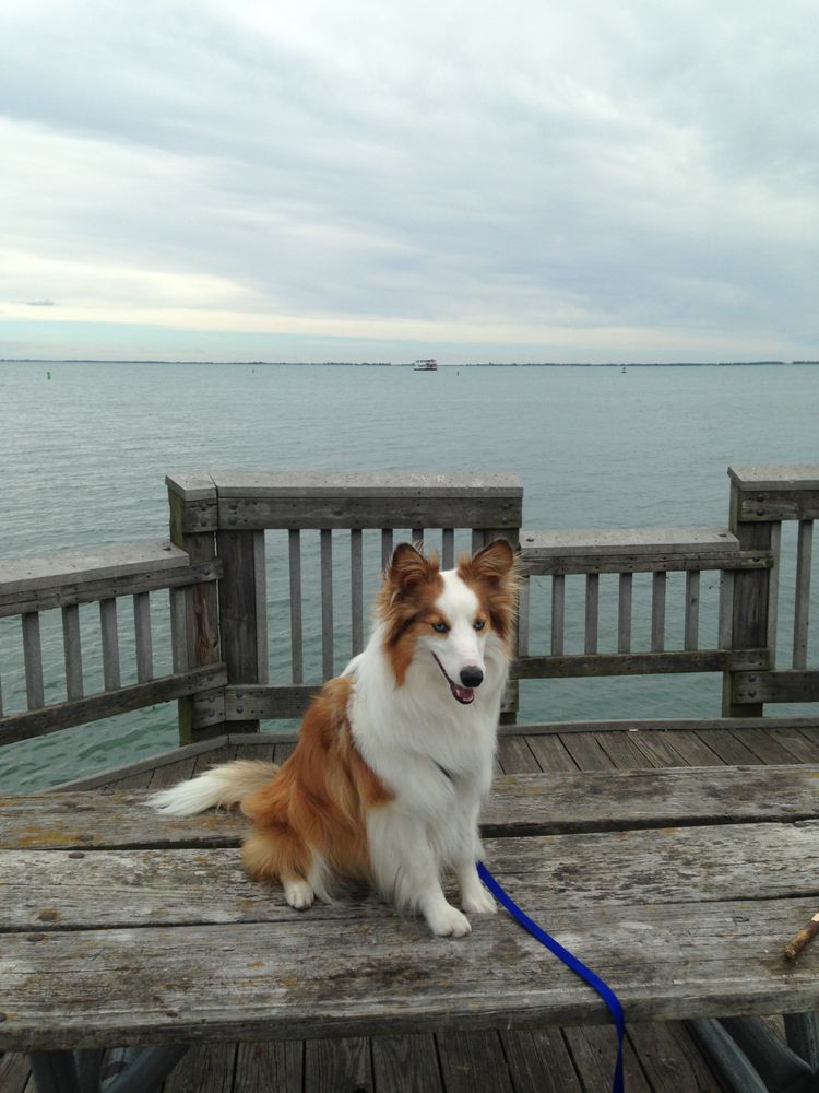 MOORE VETERINARY HOSPITAL Updated September 2024 22 Photos & 24