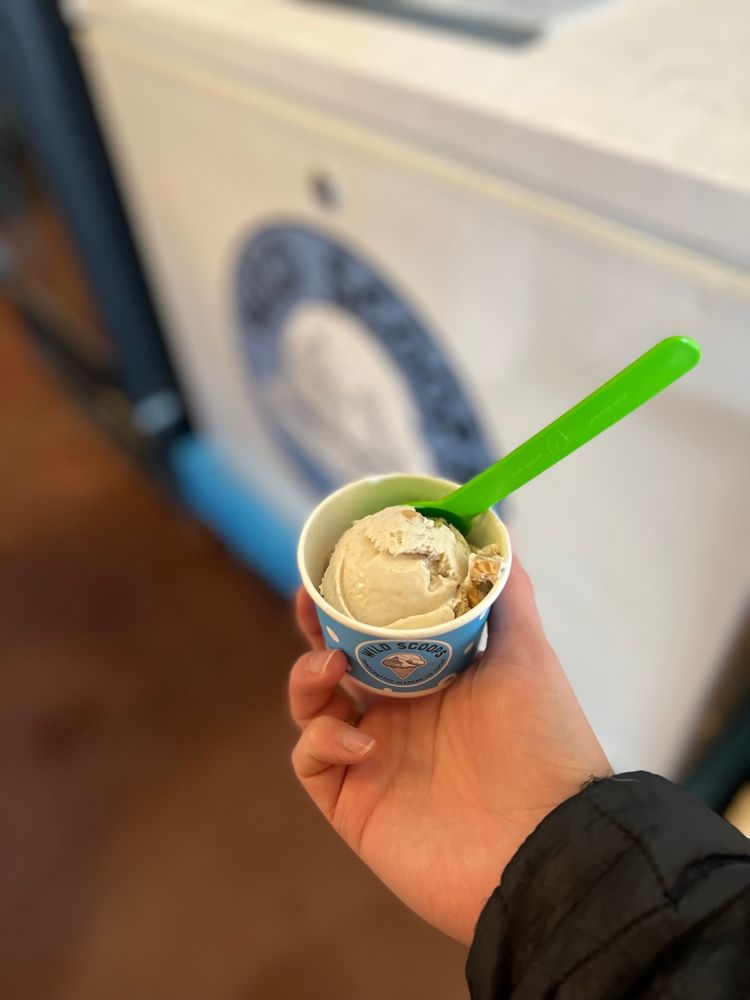 WILD SCOOPS Updated September 2024 229 Photos & 164 Reviews 530 E