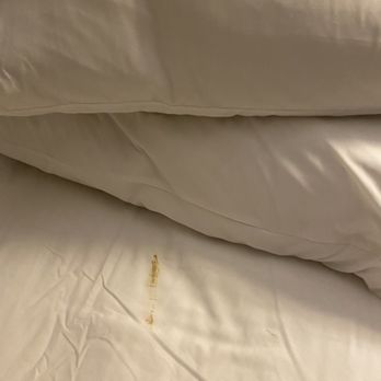 Holiday Inn Express Mt. Vernon - Skidmark-stained sheet, November 9 2024, Mt Vernon Ohio Holiday Inn Express. - Hotels Near Me - Mount Vernon, Ohio Holiday Inn Express Mt. Vernon - Skidmark-stained sheet, November 9 2024, Mt Vernon Ohio Holiday Inn Express. - Hotels Near Me - Mount Vernon, Ohio