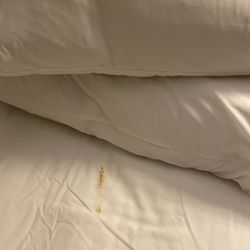 Skidmark-stained sheet, November 9 2024, Mt Vernon Ohio Holiday Inn Express.