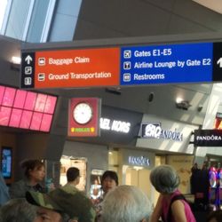 TSA Checkpoint Terminal 1 - A/B - Mccarran International Airport - Gate E6