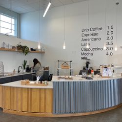 Salvi Coffee - Front counter