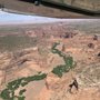 Photo of Southwest Safaris