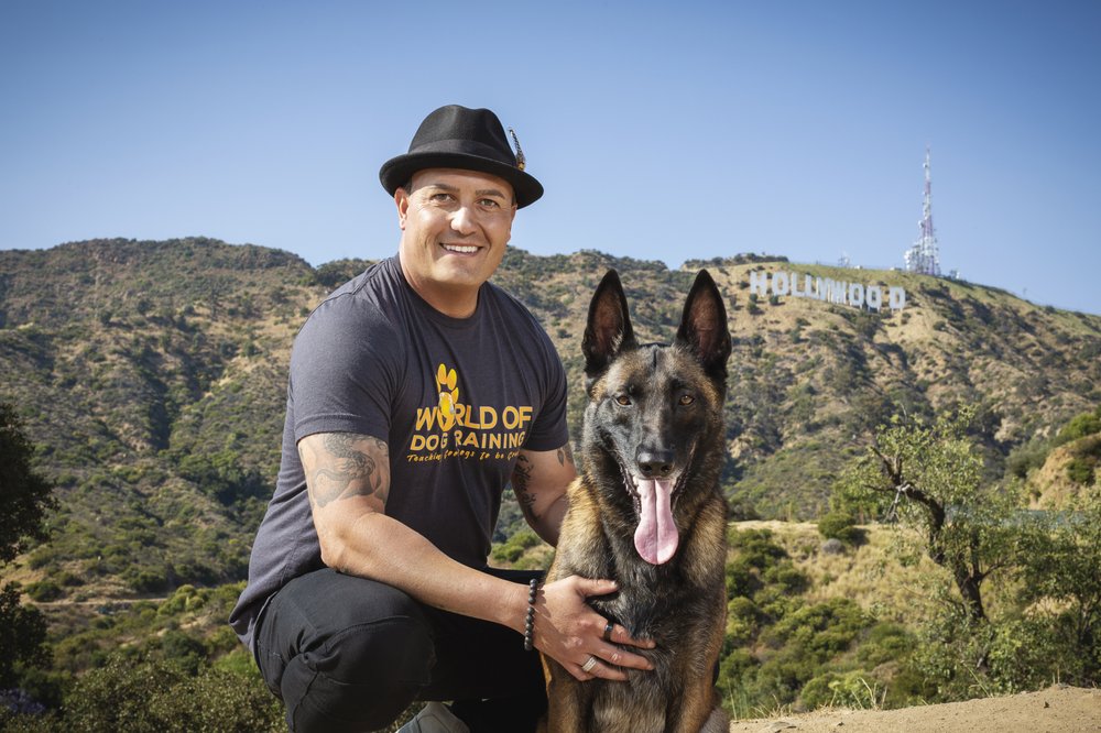 WORLD OF DOG TRAINING Updated June 2024 15 Reviews 401 20th St