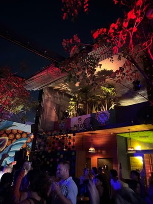 Pilo's Tequila Garden by null