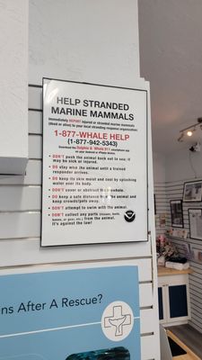 Dolphins Plus Marine Mammal Responder by null