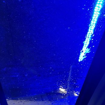 Quick Quack Car Wash - Rinsing - Car Wash Near Me - Pasadena, Texas