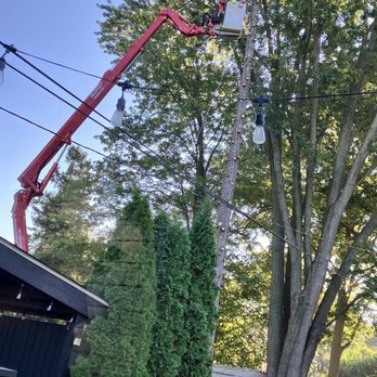 TNT Tree & Stump - John in action - Tree Services Near Me - Livonia, Michigan TNT Tree & Stump - John in action - Tree Services Near Me - Livonia, Michigan