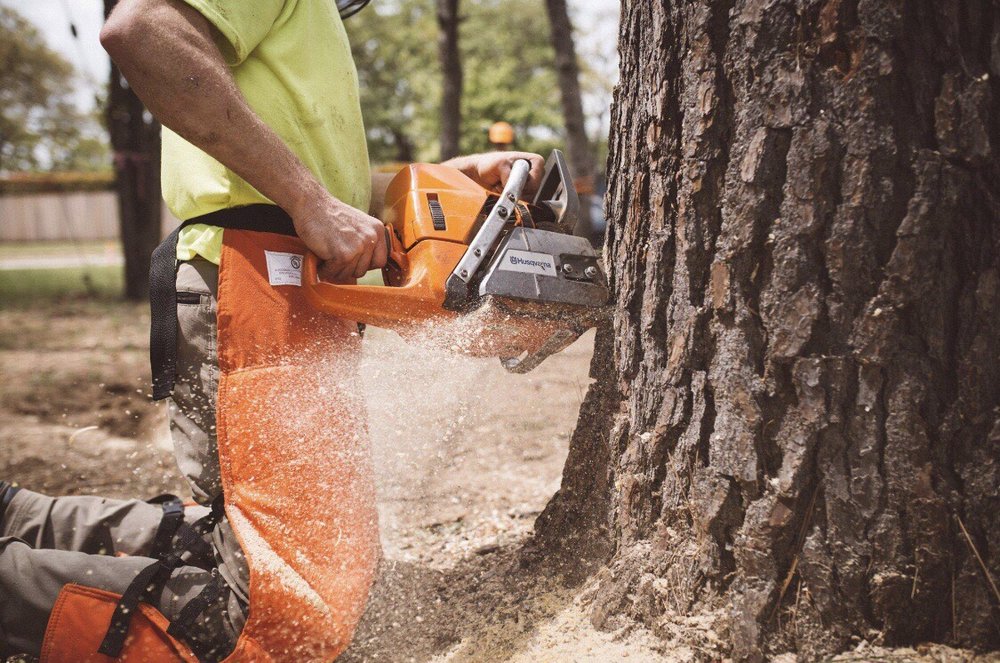 Kingdom Tree Care - tree service in Fort Worth, TX