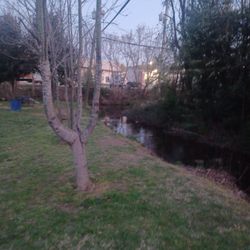 Meadowlawn Park