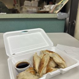Pork and Leek Dumplings