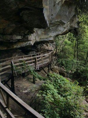 Audra State Park by null