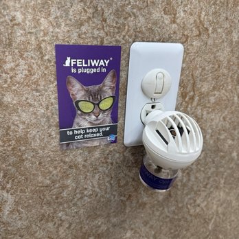 Denver Cat Hospital - Veterinarians Near Me - Denver, Colorado Denver Cat Hospital - Veterinarians Near Me - Denver, Colorado