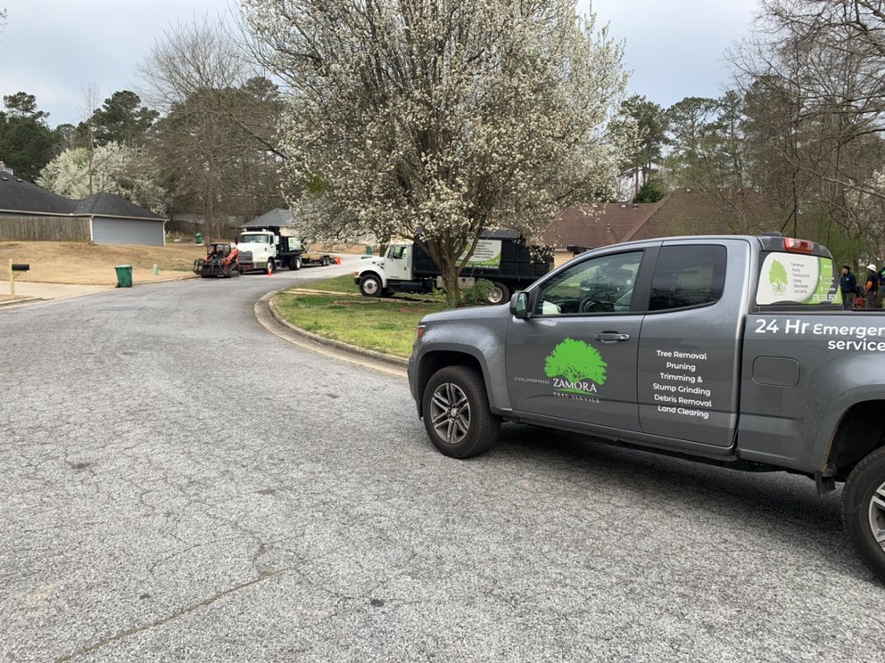 Zamora Tree Service - tree service in Lawrenceville, GA
