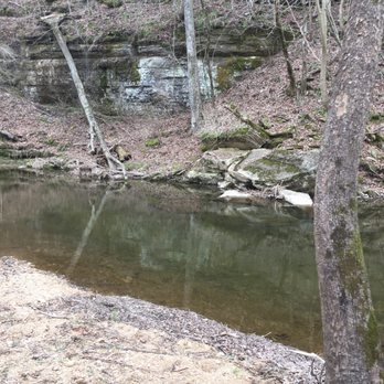 Natchez Trace Stables - Loved riding through the creeks. - Horseback Riding Near Me - Primm Springs, Tennessee Natchez Trace Stables - Loved riding through the creeks. - Horseback Riding Near Me - Primm Springs, Tennessee