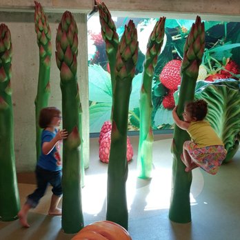 Witte Museum - Kids play area downstairs - Museums Near Me - San Antonio, Texas
