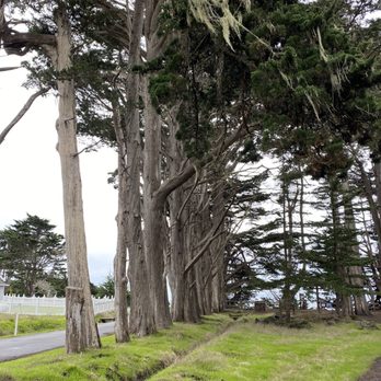 Fitzgerald Marine Reserve - Parks Near Me - Moss Beach, California Fitzgerald Marine Reserve - Parks Near Me - Moss Beach, California