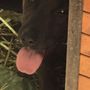 Photo of Audobon Animal Clinic