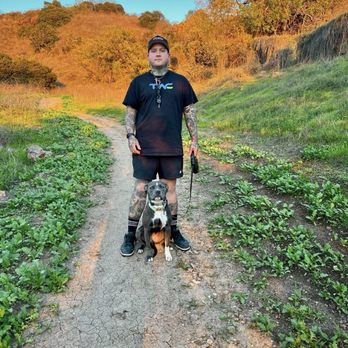 Dog On Fun - Pet Sitting Near Me - Covina, California Dog On Fun - Pet Sitting Near Me - Covina, California