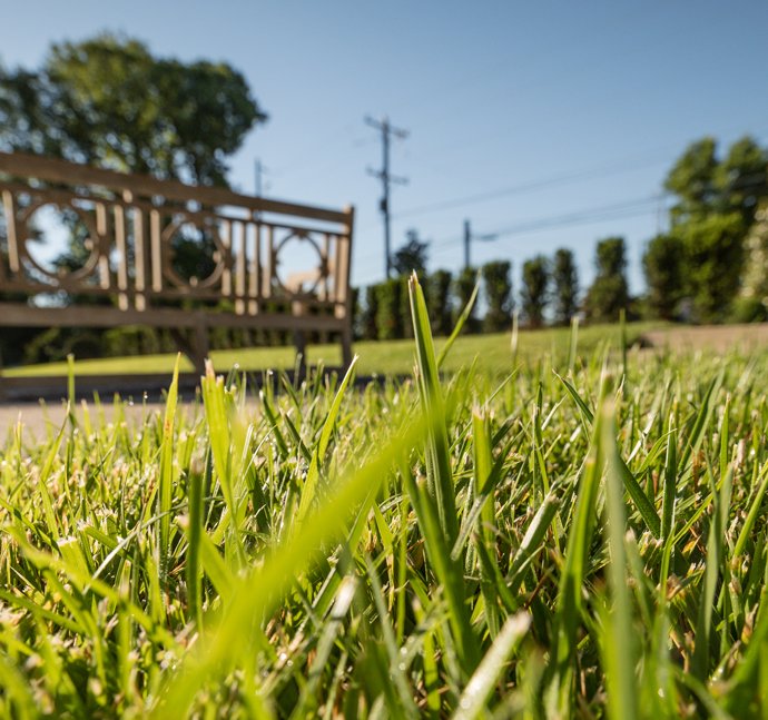 Pure Green - tree service in Nashville, TN