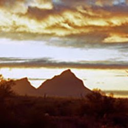 University of Arizona Visitor Center - Free Yourself with Tucson sunsets.