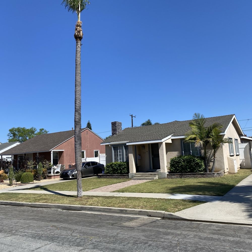 Top Unit Tree Service - Palm tree - Tree Services Near Me - Norwalk, California Top Unit Tree Service - Palm tree - Tree Services Near Me - Norwalk, California