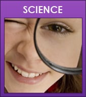 Study Wizards Tutoring - reading tutor in Fremont, CA