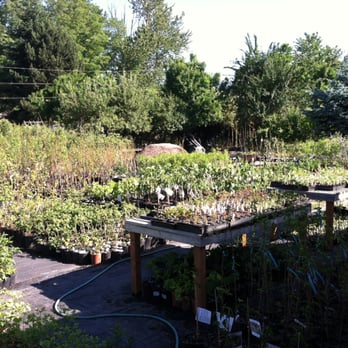 Harvest Nursery - Nurseries & Gardening Near Me - Molalla, Oregon
