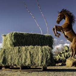 Three Bars Feed & Tack - Bermuda Hay underneath the beautiful Arizona sky!