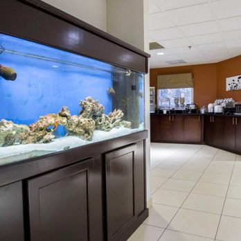 Sleep Inn Ormond Beach - Daytona - Hotels Near Me - Ormond Beach, Florida Sleep Inn Ormond Beach - Daytona - Hotels Near Me - Ormond Beach, Florida