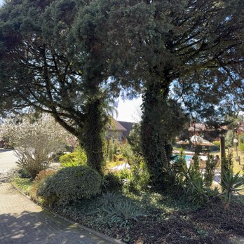 Hotel Canto Verde - Outside the cottages. - Hotels Near Me - Gramado, RS