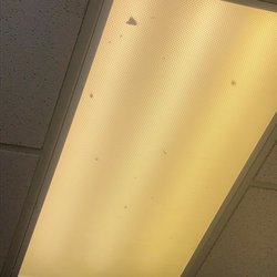 Med Plus Florence - Dirty waiting room