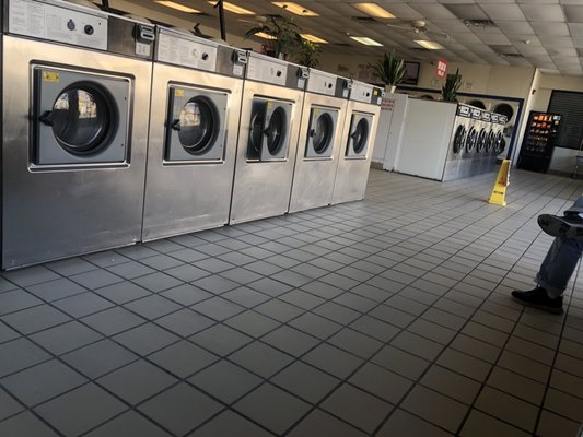 Daily Laundromat