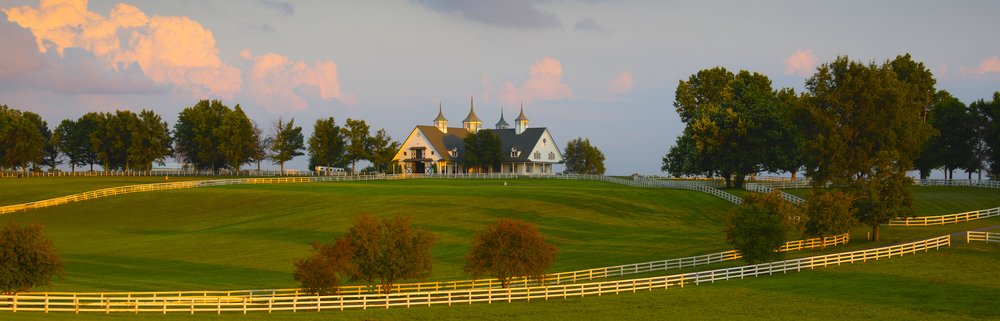 Lexington In Touch