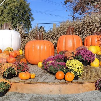 Maan Farms - Farmers Market Near Me - Abbotsford, British Columbia