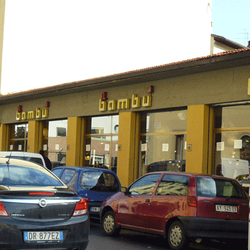 Il Bambù