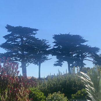 The Presidio - Parks Near Me