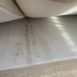 Total Home Cleaning - Dirty sofa cushions