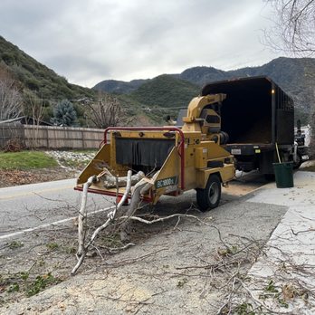 Ortega's Jr Tree Service - Cleaned up the scene - Tree Services Near Me - Riverside , California