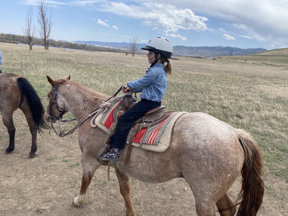 CHATFIELD STABLES 49 Photos & 107 Reviews 11500 N Roxborough Park