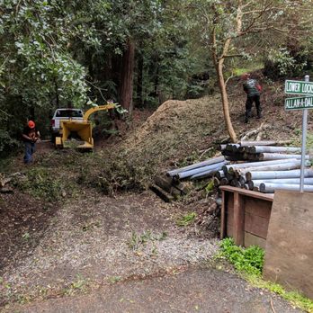 Pacific Mountain Tree Service - PMTS Boulder Creek - Tree Services Near Me - Boulder Creek, California Pacific Mountain Tree Service - PMTS Boulder Creek - Tree Services Near Me - Boulder Creek, California