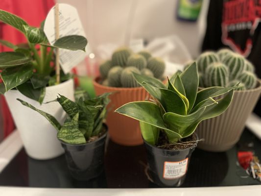 The Home Depot by null