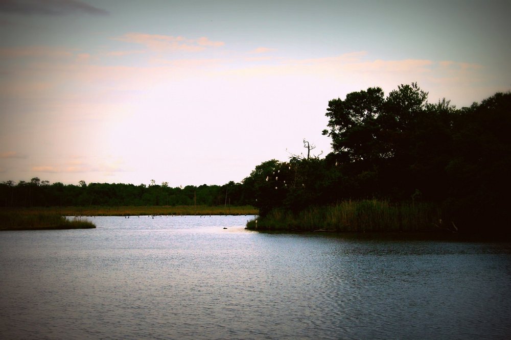 MATT’S LANDING HEISLERVILLE WILDLIFE MANAGEMENT AREA Updated October