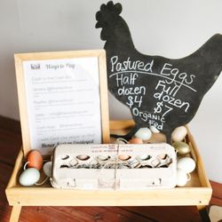 The Nest Box - The Nest Box Eggs!