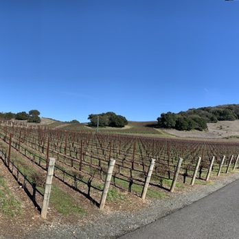 Kenzo Estate - Wineries Near Me - Napa, California