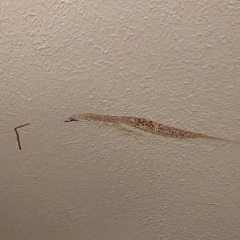 SUMMIT AT RED ROCKS - Updated December 2025 - 149 Photos & 94 Reviews ...