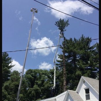 Cutting Edge Tree Service - Tree Services Near Me